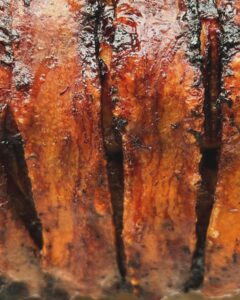 Hog roast crackling close up